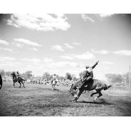 Mount Isa Rotary Rodeo Rough Riding, Spear Creek, September 1959
