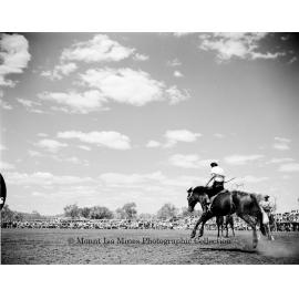 Mount Isa Rotary Rodeo Rough Riding, Spear Creek, September 1959