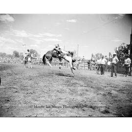 Mount Isa Rotary Rodeo Rough Riding, Spear Creek, September 1959