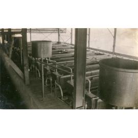 MacIntosh Callow Flotation Cells in Mill, Mount Isa Mines, c.1931