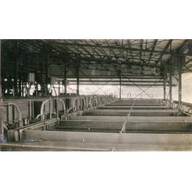 MacIntosh Callow Flotation Cells in Mill, Mount Isa Mines, c.1931