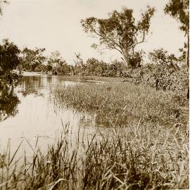 Leichhardt River 