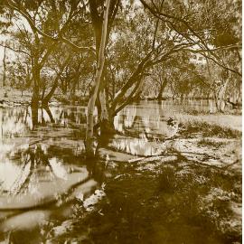 The Lagoons 