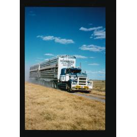 Hornberg cattle truck travelling along road