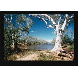 View over creek