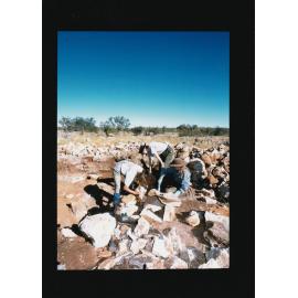 Group fossicking in outback
