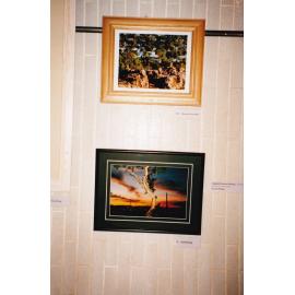 Neighborhood Watch and Unspoken Words of History, c.1998