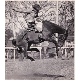 Cowboy riding bucking horse