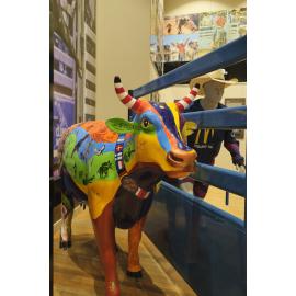 Rodeo Hall of Fame, Outback at Isa, January 2023