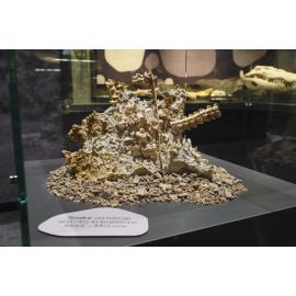 Riversleigh Fossil Discovery Centre, Outback at Isa, January 2023