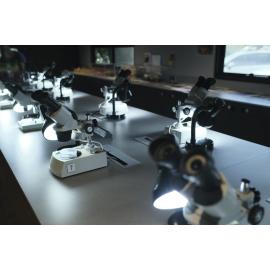 Riversleigh Fossil Discovery Centre, Outback at Isa, January 2023