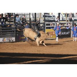 Bull Ride, Mount Isa Mines Rodeo, August 2022