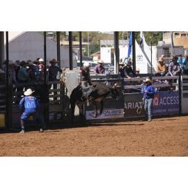 2nd Division Bull Ride, Mount Isa Mines Rodeo, August 2022