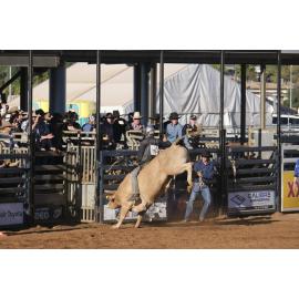 Bull Ride, Mount Isa Mines Rodeo, August 2022