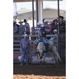 Junior Bull Ride, Mount Isa Mines Rodeo, August 2022