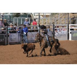 Open Ladies Breakaway, Mount Isa Mines Rodeo, August 2022