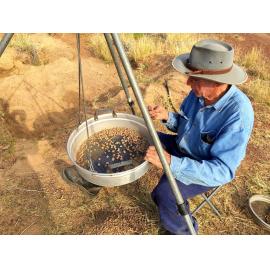 Lapidary Club member sorting Maltese Crosses, September 2018