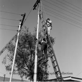 Pole top rescue training, July 1964