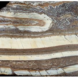 Sliced diamond drill core sample, Mount Isa Mines