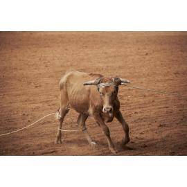 Road to Rodeo Mount Isa, May 2023