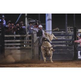 Bull Ride, Mount Isa Show, June 2023
