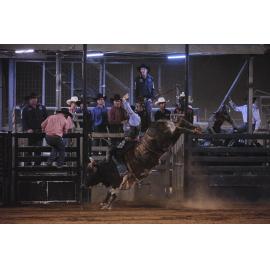 Bull Ride, Mount Isa Show, June 2023