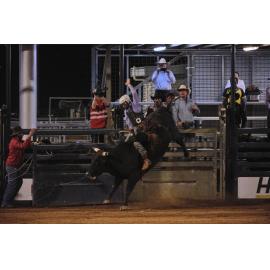 Bull Ride, Mount Isa Show, June 2023
