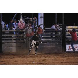 Bull Ride, Mount Isa Show, June 2023