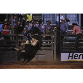 Bull Ride, Mount Isa Show, June 2023