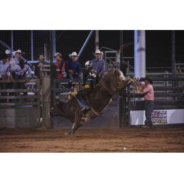 Bull Ride, Mount Isa Show, June 2023