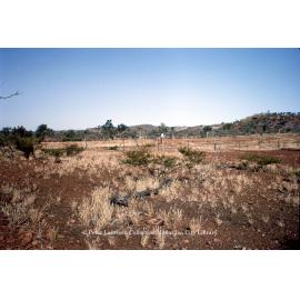 Land near Lake Moondarra, July 1963
