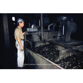 Copper flotation cell at Mill, Mount Isa Mines, c.1956